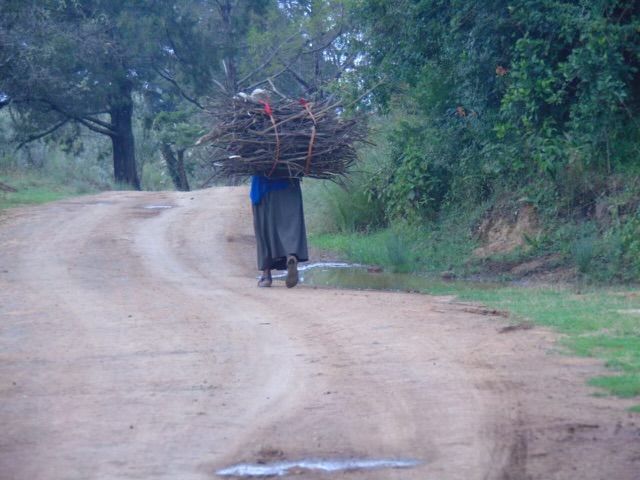 A family homestead in the Gitare community, photograph 2