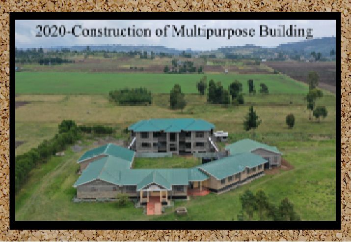 The multi-purpose building after construction progress